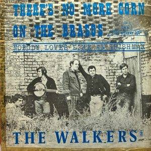 The Walkers - Ther,s no more corn on the brasos