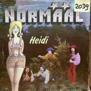 normaal - Heidi kant a