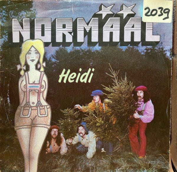 normaal - Heidi kant a